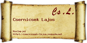 Csernicsek Lajos névjegykártya